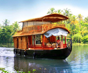 Kerala Honeymoon Package Celebration in Paradise